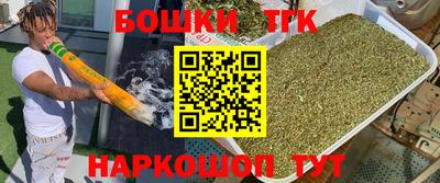 молекула духа Будённовск