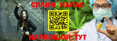 молекула духа Будённовск