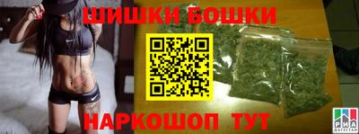 молекула духа Будённовск
