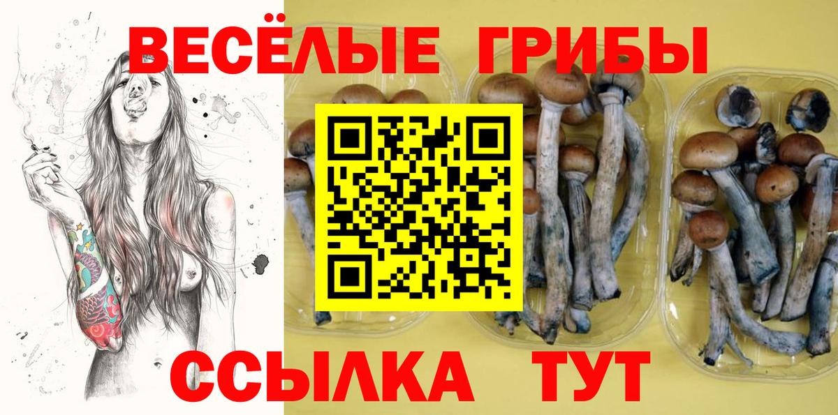Саяногорск  Псилоцибиновые грибы MAGIC MUSHROOMS  Галлюциногенные грибы Cubensis  Вход с VPN 